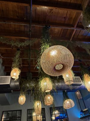   at Ka Papa Cuisine in Sarasota