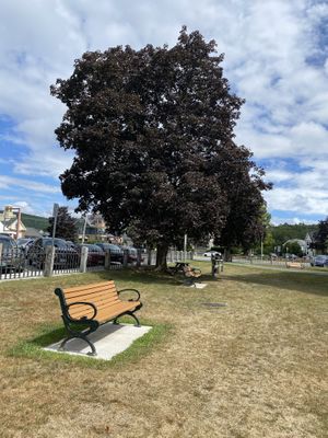   at Black Magic Mexican in Lebanon