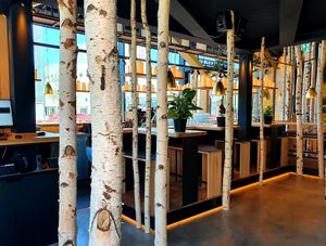 birch forest at Hans im Glück in Dusseldorf