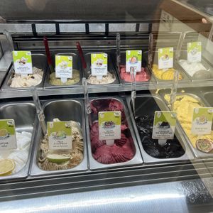 vegan flavors (marked 100% vegan in top right corner)  at The Gelatist - ViaaAppia Nuova in Rome