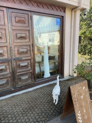   at Pengohoda - 펜고호다 in Jeju