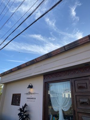   at Pengohoda - 펜고호다 in Jeju