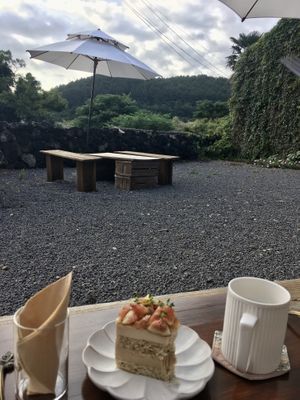 Outdoor seating  at Pengohoda - 펜고호다 in Jeju