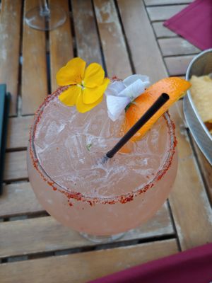 Paloma at Necio Mexican Kitchen in Denver