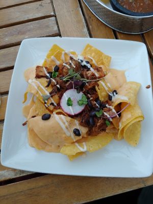 Monster nachos with jackfruit and cashew queso sauce. I almost licked the plate clean. One of the best vegan queso sauces Ive had...and didnt upset my stomach like they usually do! at Necio Mexican Kitchen in Denver