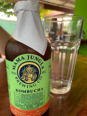 Kombucha at Falafel in Uvita