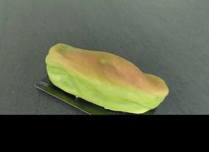 Pistachio at La Pâtisserie Vegan - Les Saveurs De La Bastille in Liege