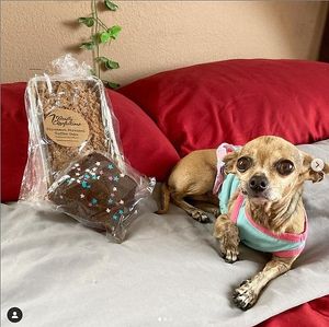 Cinnamon Streusel Coffeecake at 7 Deadly Confections - Pre Order Only in Perris