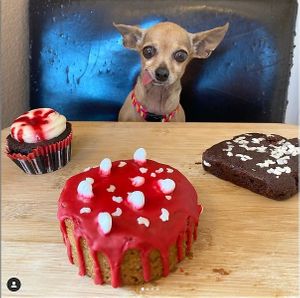 Assorted Halloween goodies (11/10 brownie featured here) at 7 Deadly Confections - Pre Order Only in Perris