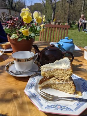 Rhubarb and orange vegan Victoria sponge at The Mill House Tea Garden in Eckington
