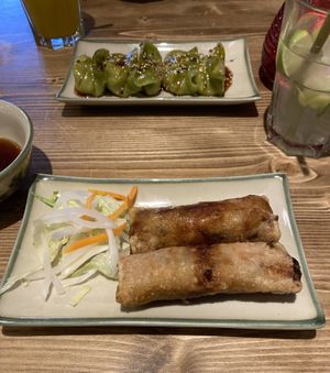 Gyoza veggie and Nem Ani House  at ANI House in Bremen