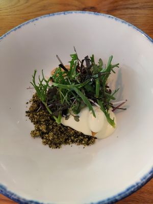 Starter, salad with sesame seeds crunch at Bistro Lupa in Copenhagen