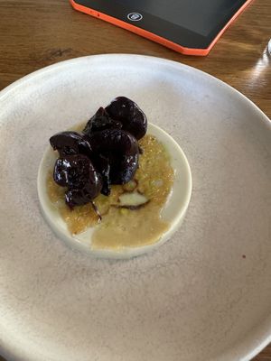 Basil pannacotta with vanilla cracker and pickled and dried cherriess  at Bistro Lupa in Copenhagen