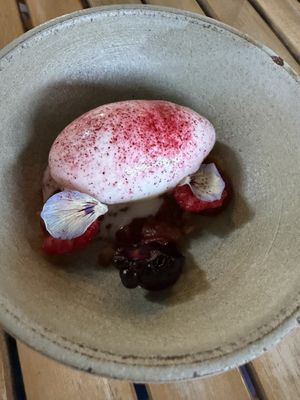 Ice cream with berries and hibiscus powder   at Bistro Lupa in Copenhagen