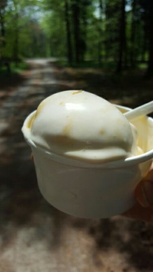 slightly melted coconut and mango vegan ice cream at The Beech Cafe in Petersfield