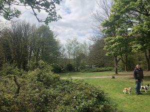   at The Beech Cafe in Petersfield