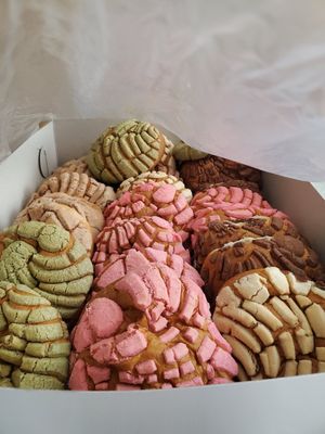 Conchas with a large plastic bag to keep them fresh at Panaderia y Pasteleria la Mexicana in La Habra