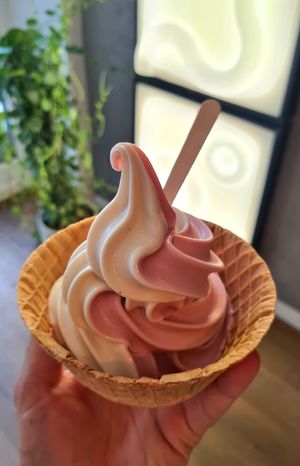 Just great 🍦🌱😊 at Kjeks - Schanze in Hamburg