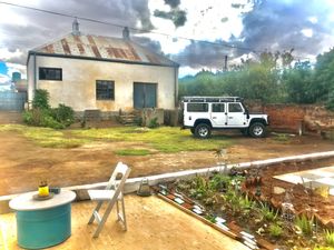 Aloe at Karoo Artist's Café in Philippolis