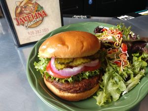 Vegan NexVeg burger with a side salad. at Javelina Cantina in Sedona