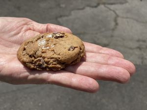 Salted chocolate chip cookie (vegan) at Acorn Community Cafe in Eugene