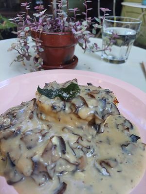 Vegan biscuits and gravy at Acorn Community Cafe in Eugene