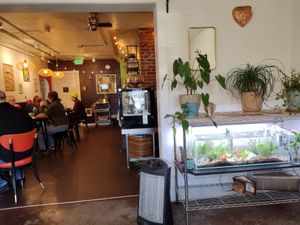  at Acorn Community Cafe in Eugene