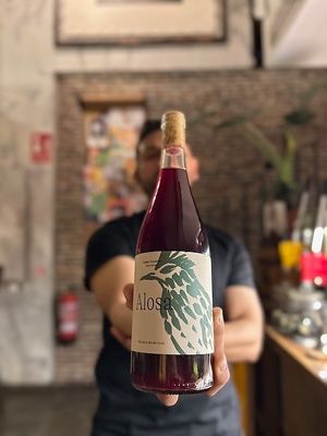 Vinos Naturales y Veganos  at Fat Veggies in Barcelona