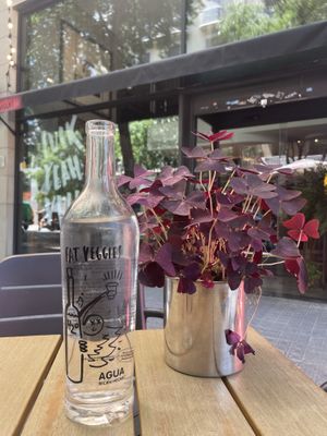 Terrace  at Fat Veggies in Barcelona