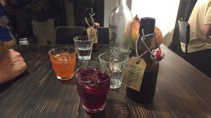Hibiscus Kombucha and Cranberry Lemonade at Fat Veggies in Barcelona