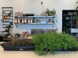 Live micro greens! They use these on the salads and sandwiches 🙌🏼 at Power Plant Juice Bar in Centerville