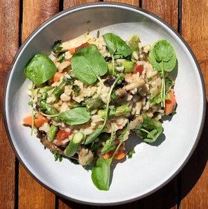 Risotto  at Timber Cove Resort in Jenner