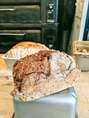 Our favorite 100% rye bread with apricots, pumpkin seeds, and dates. Made Saturdays. at Fox and Lion Bread in San Francisco