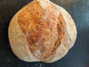 Our country bread is popular and made each day along with 4 grain sour, whole wheat sour, and toast loaf. at Fox and Lion Bread in San Francisco
