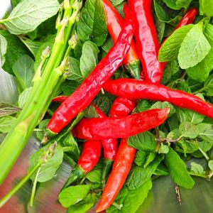 Fresh chilly and garlic are part of our backbone at Intz48 Coffee Roasters Azores in Sao Miguel