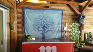 Barra de Cerveza at Anfora Vegano - temporarily closed in Gandia