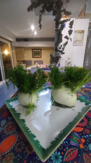  at Anfora Vegano - temporarily closed in Gandia