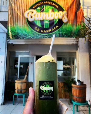 Really good hand made ice cream.!!! at Neveria Artesanal Bamboos in Puerto Vallarta