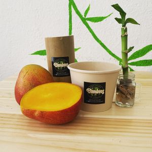 Mango at Neveria Artesanal Bamboos in Puerto Vallarta
