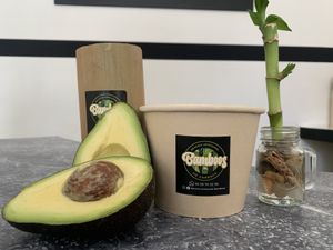 Avocado at Neveria Artesanal Bamboos in Puerto Vallarta