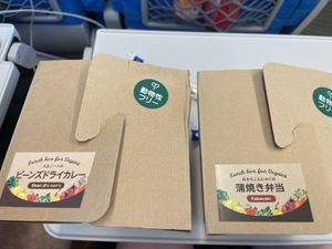 Vegan boxes - bean dry curry and kabayaki  at Bellmart in Nagoya