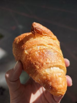  at Land & Monkeys - Roquette in Paris