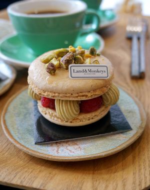 Pistachio/Raspberry Macaron at Land & Monkeys - Roquette in Paris