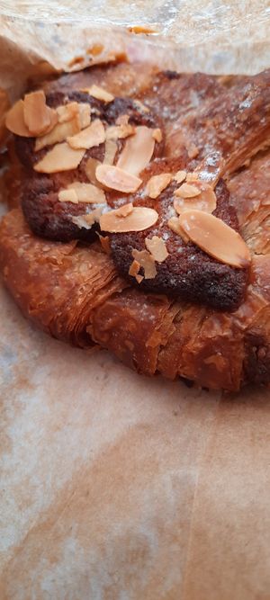  at Land & Monkeys - Roquette in Paris