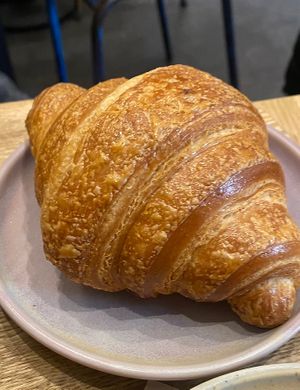   at Land & Monkeys - Roquette in Paris