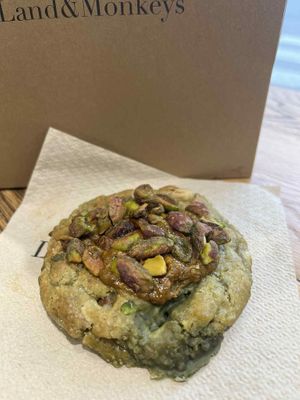 Chimp  at Land & Monkeys - Roquette in Paris