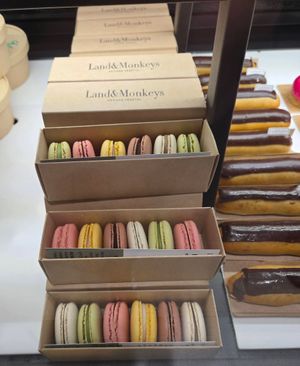  at Land & Monkeys - Roquette in Paris