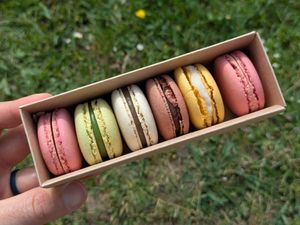 Macarons! at Land & Monkeys - Roquette in Paris