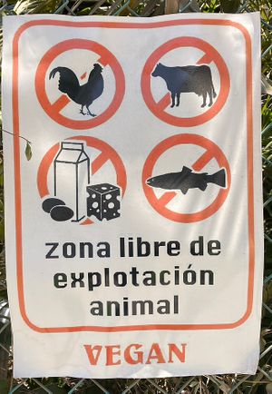   at Yum Yum San Pancho in San Francisco