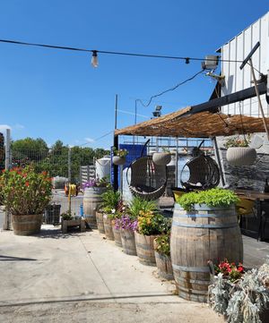 Front of the winery - do cute and friendly! at Tulip Winery in Kiryat Tivon